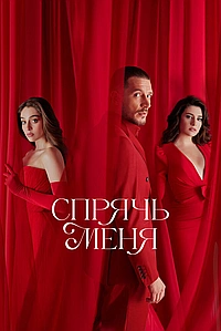 Постер к Спрячь меня